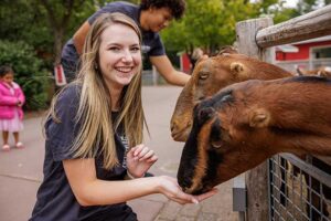 Veterinary Medicine