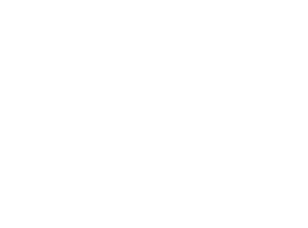 Pilot Promise