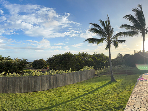 Photo of Hawaiian landscape
